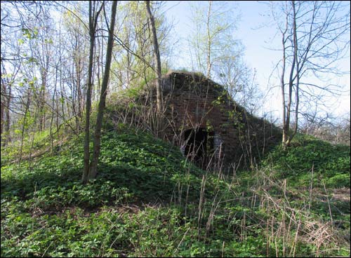 Файл:Brovschina-dobrino-lednik.jpg