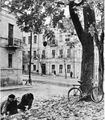 Угол улиц Правды и Калинина. Фото из альбома «Витебск» 1966 года