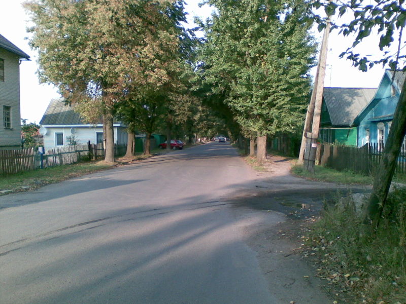 Файл:Volodarskogo.jpg