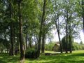 Вид из парка 40-летия ВЛКСМ