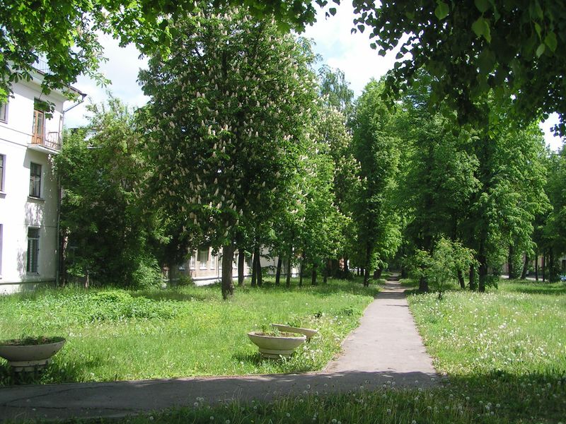 Файл:Evstigneeva (2).JPG